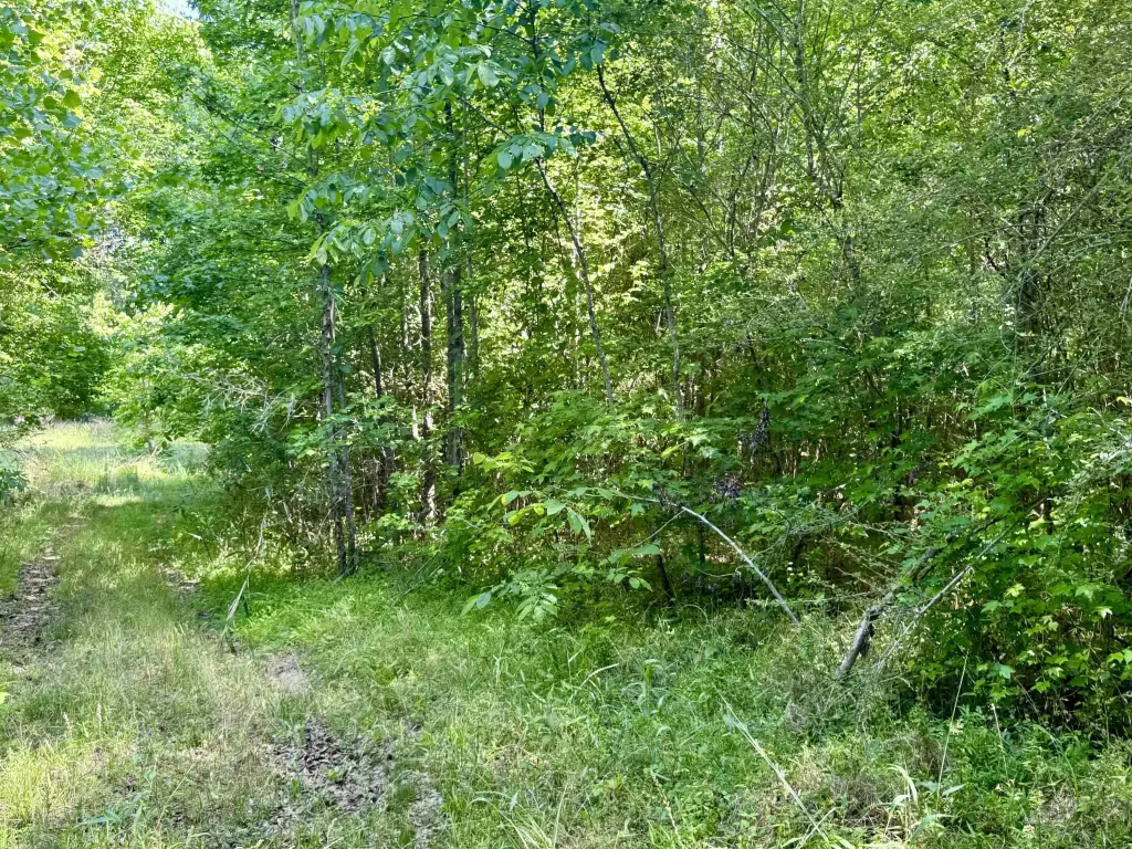 Picture 15