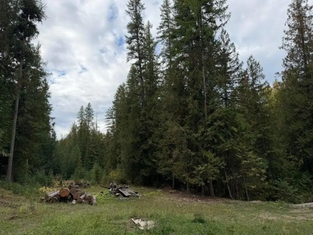 Picture 33