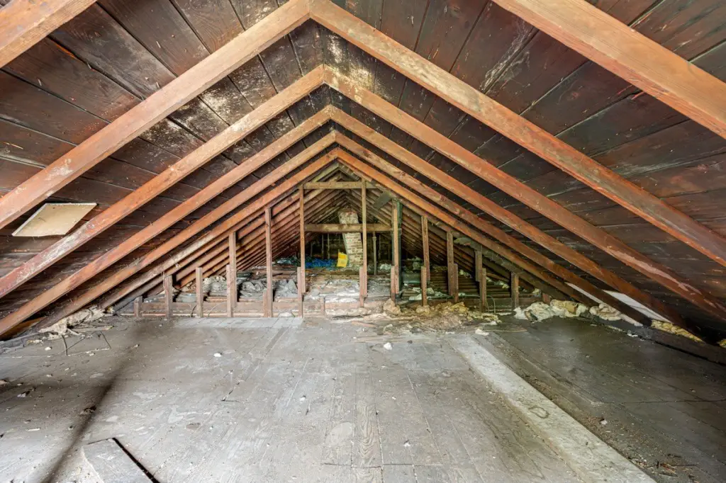 Picture 21