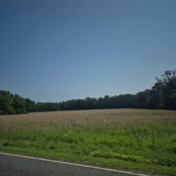 60 Acres of Farmland