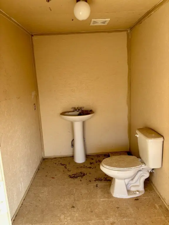 Picture 3
