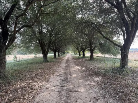 Prime Land with Lodge