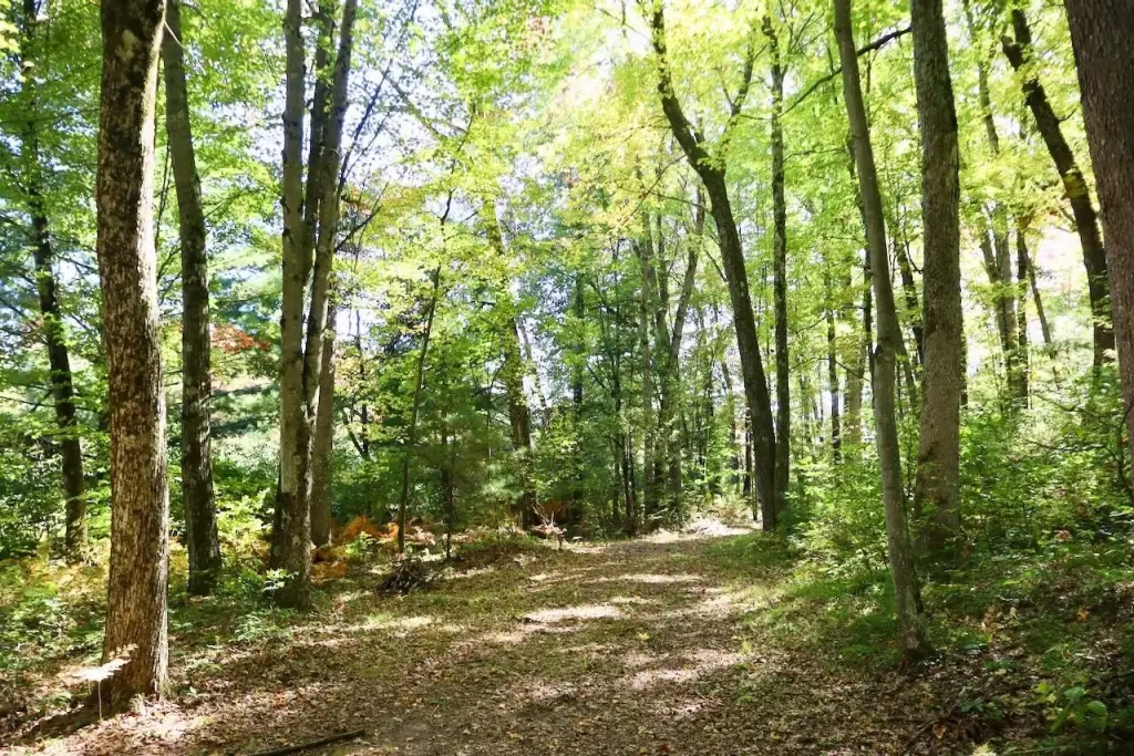 Picture 11