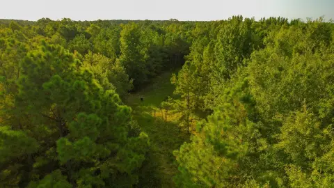 Recreational Hunting Land