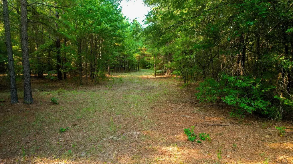 Picture 20