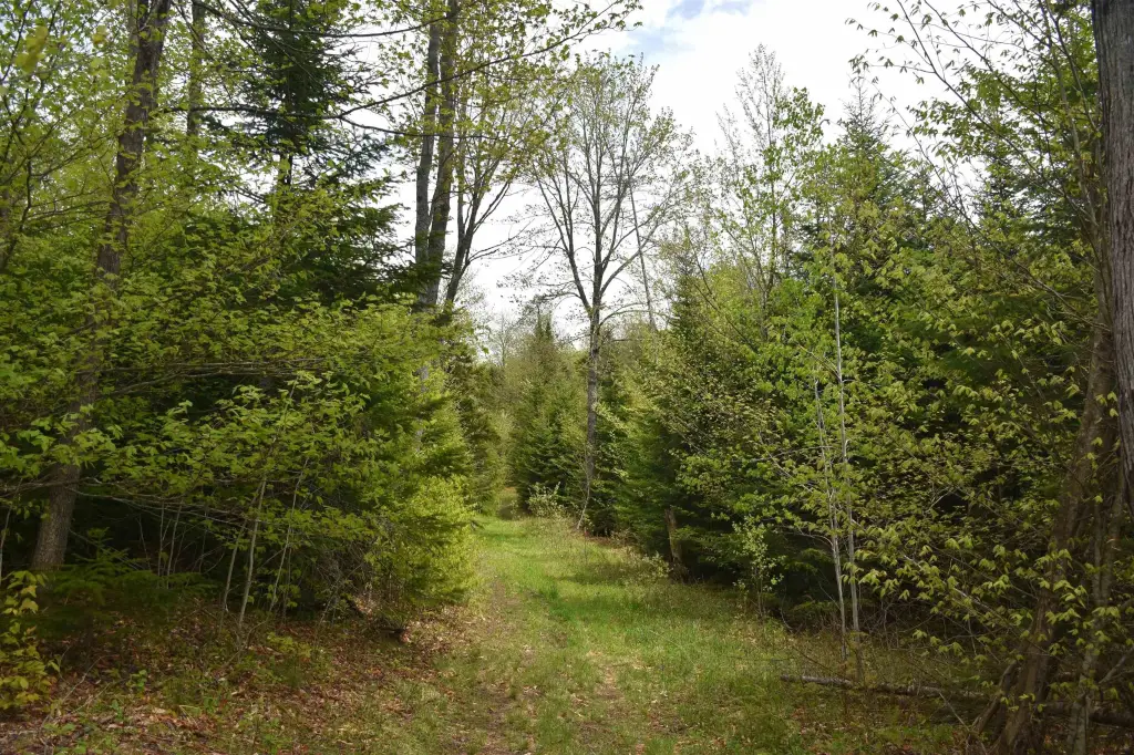 Picture 21