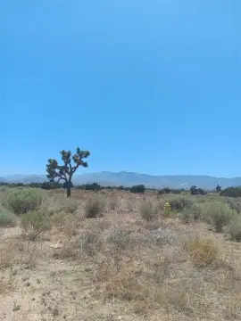 Residential Lot in Phelan, CA