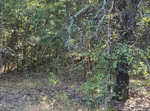 East Texas Rural Land