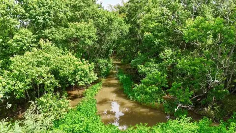 185 Acres Outdoorsman's Paradise