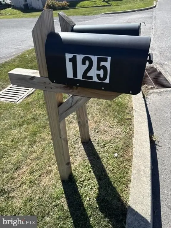 Picture 8