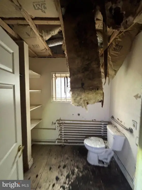 Picture 17