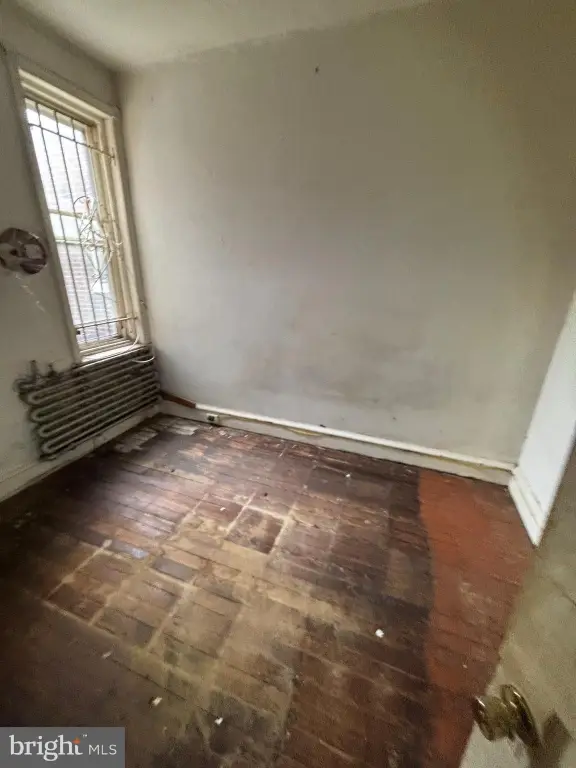 Picture 21