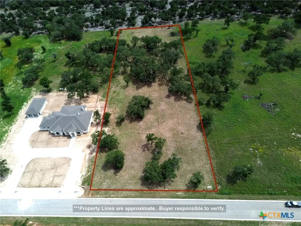 Picture 14