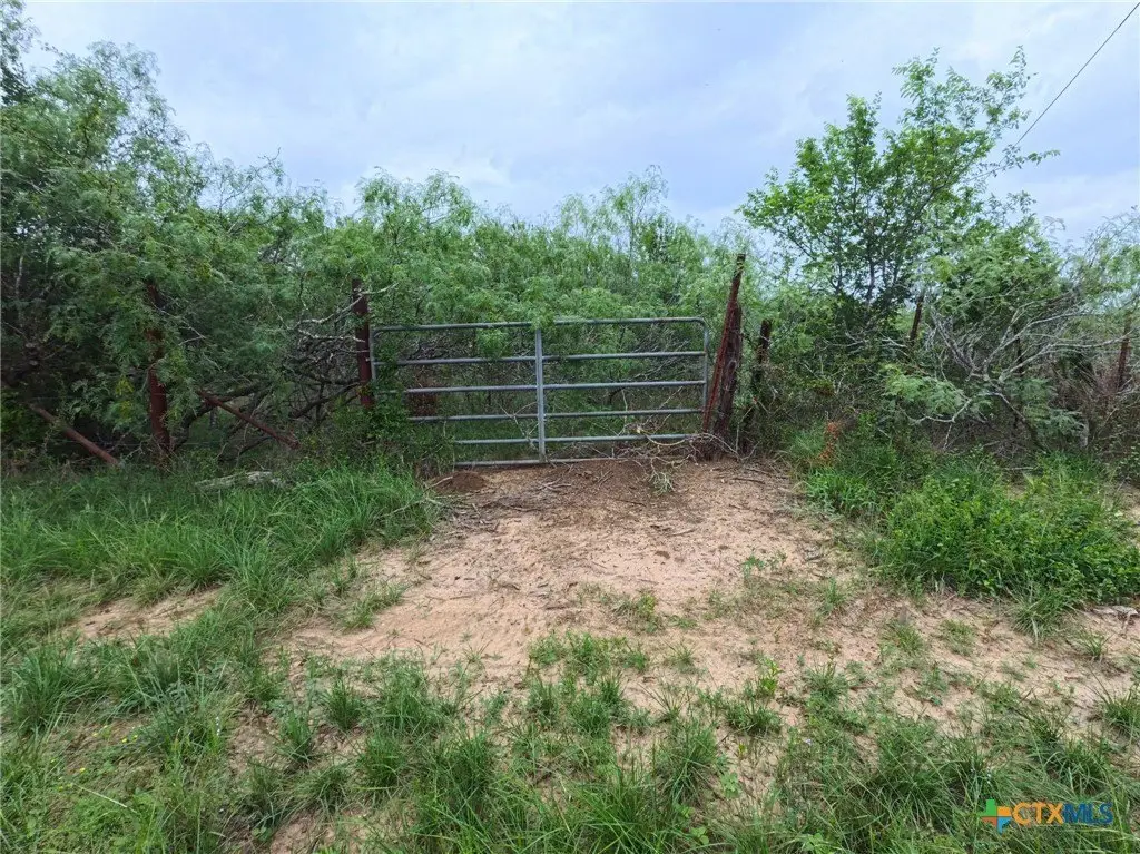 Picture 9