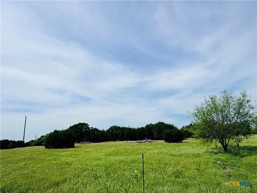 Picture 12