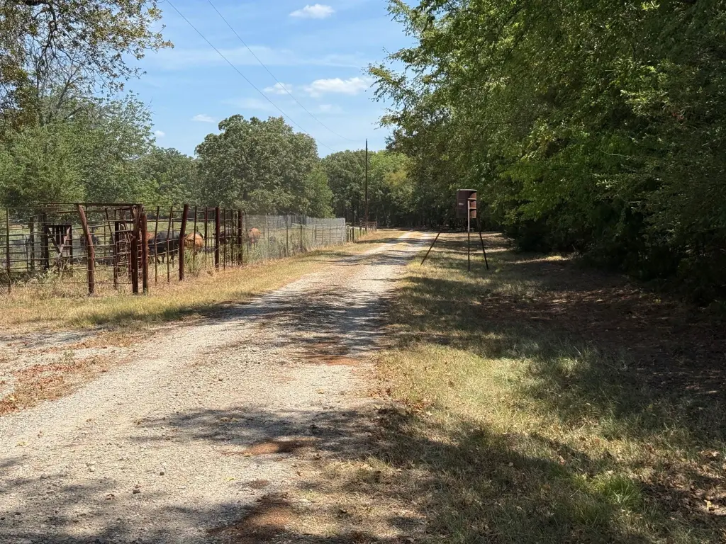 Picture 14
