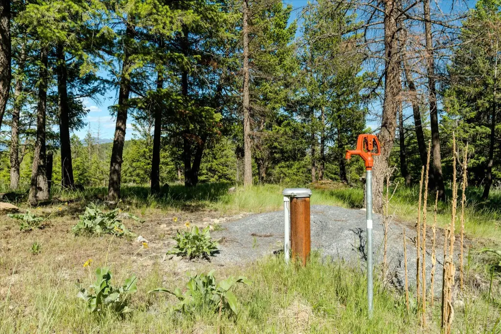 Picture 23