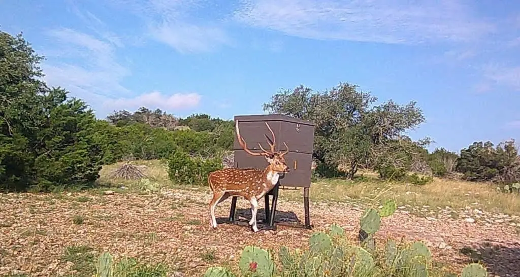 Picture 30
