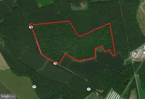 Hunting Land with Trail Access