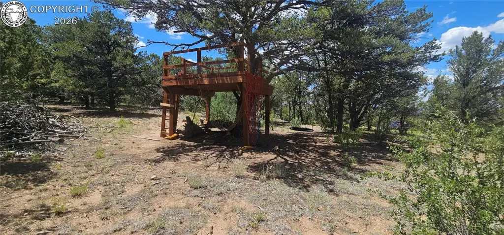 Picture 15