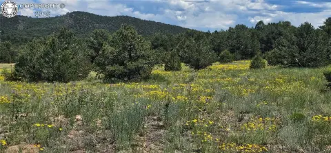 Recreation Land with Solar Power