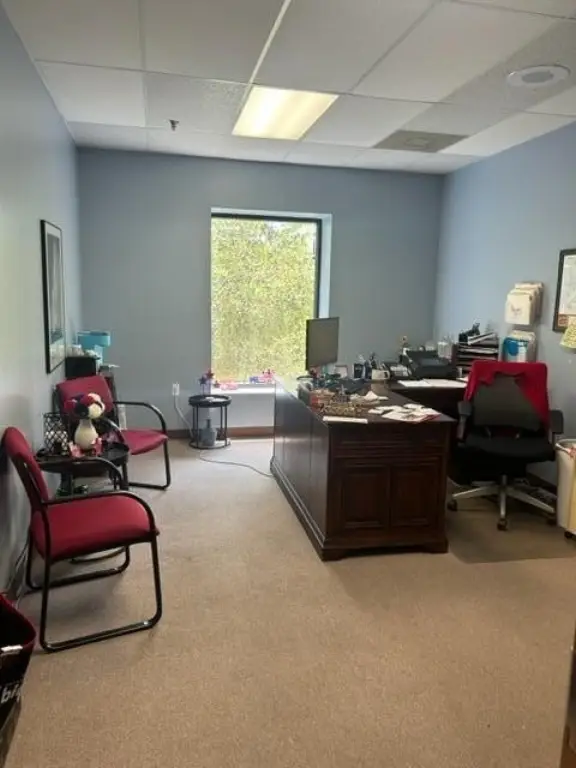 Picture 14