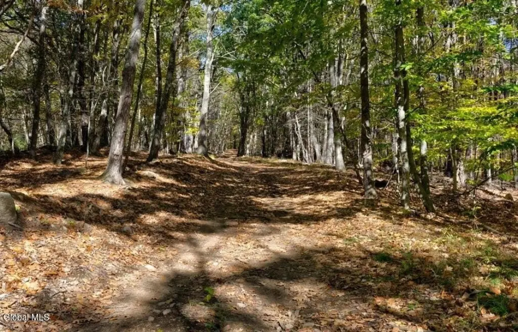Picture 8
