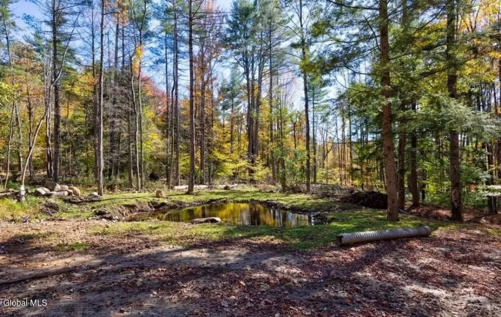 Picture 7