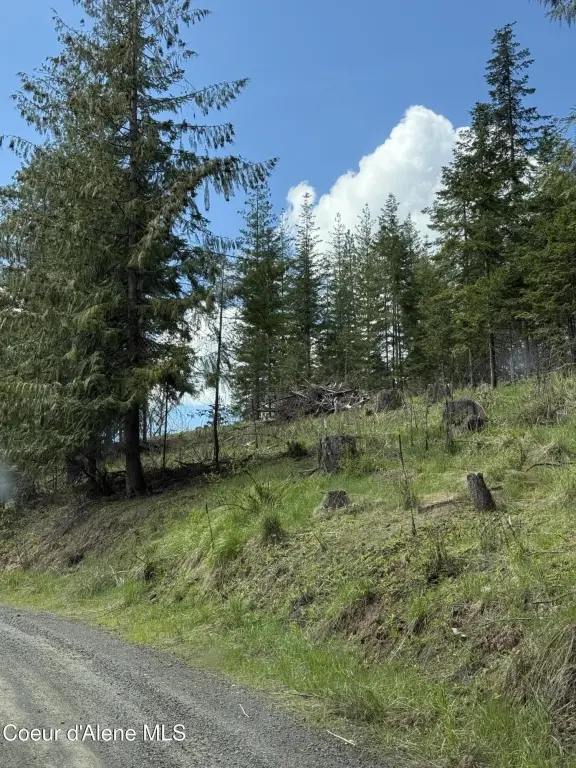 Picture 4