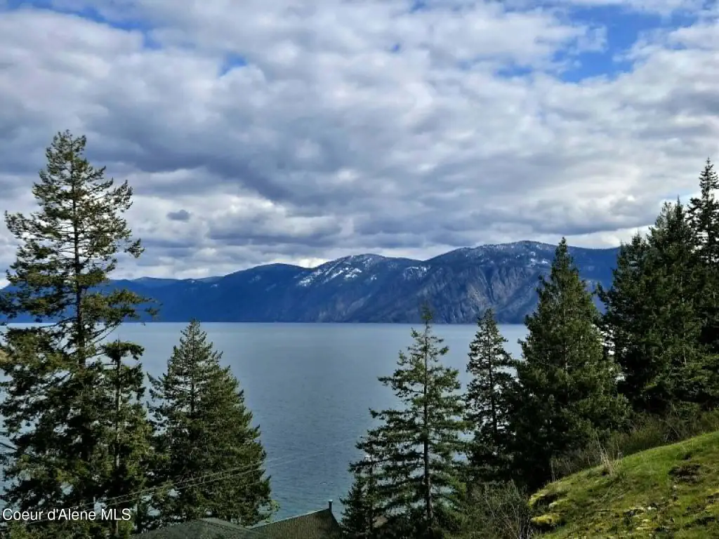 Picture 9
