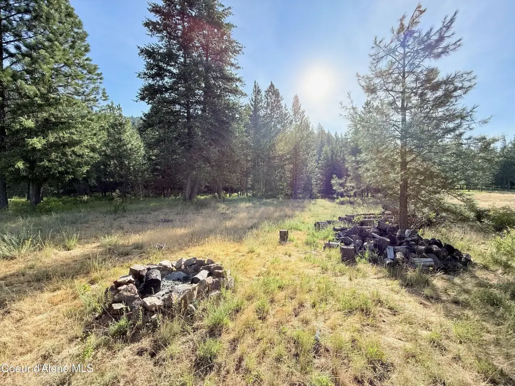 Picture 29