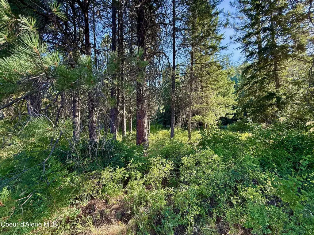 Picture 30