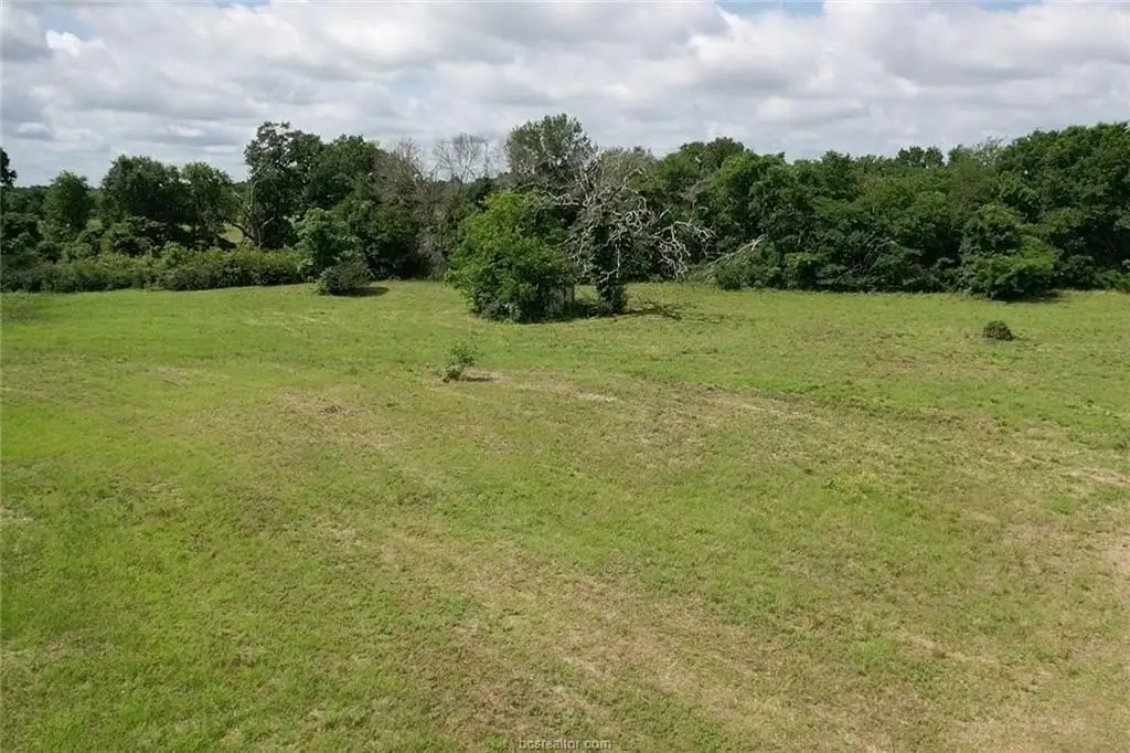 Picture 29