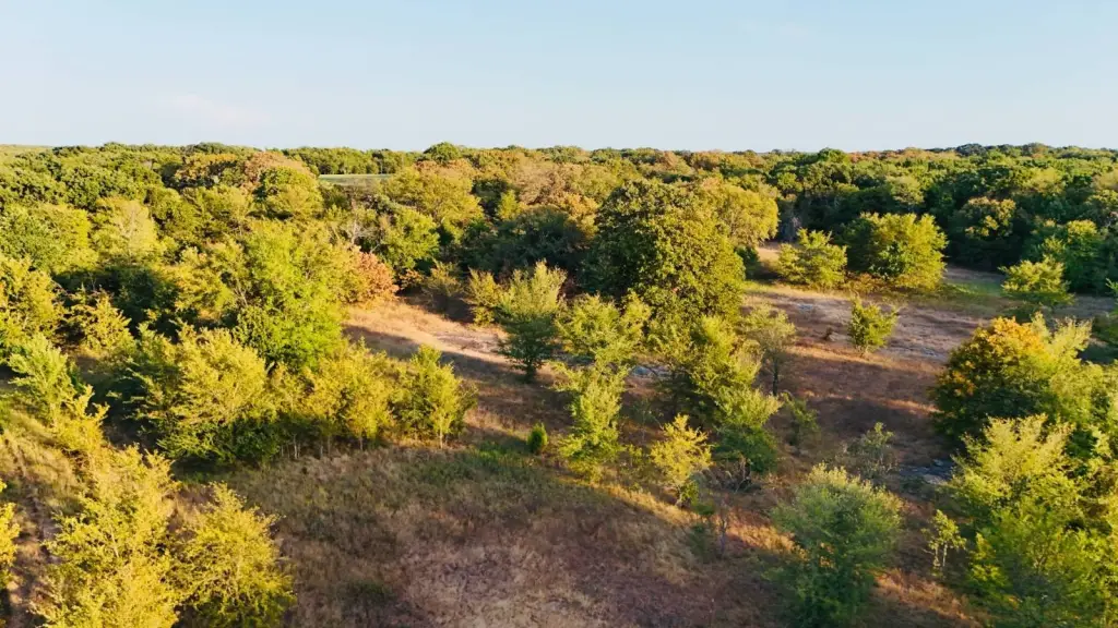 Picture 28