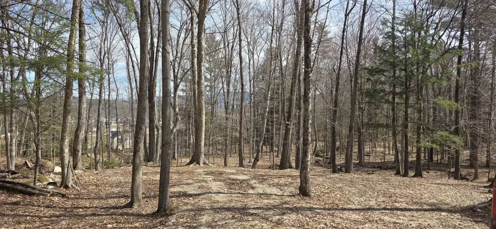 Picture 6