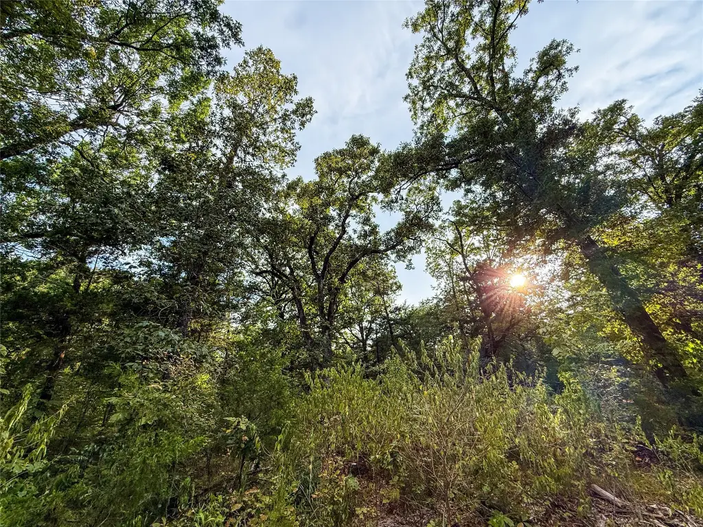 Picture 33