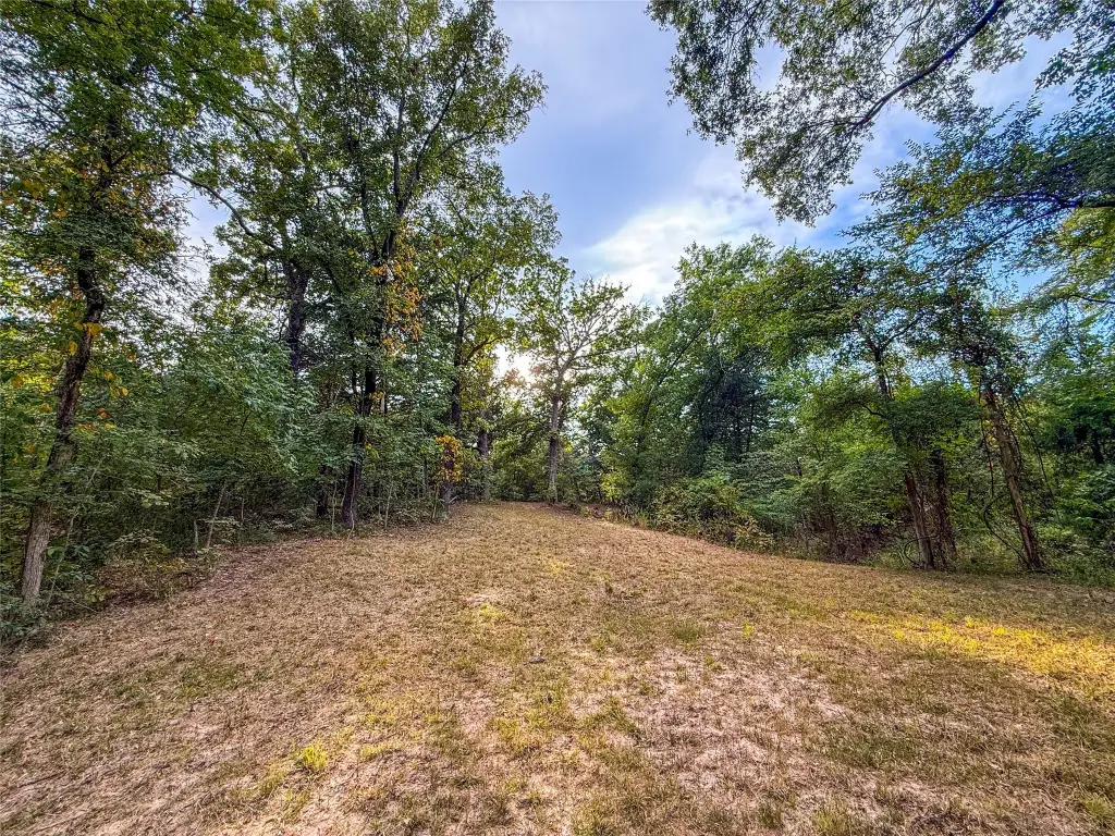 Picture 18