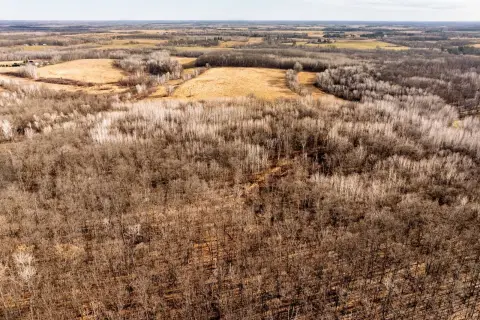 Secluded Hunting Land in Pine River