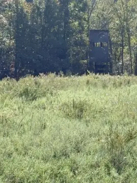 40 Acres Hunting/Recreational Land, Boley