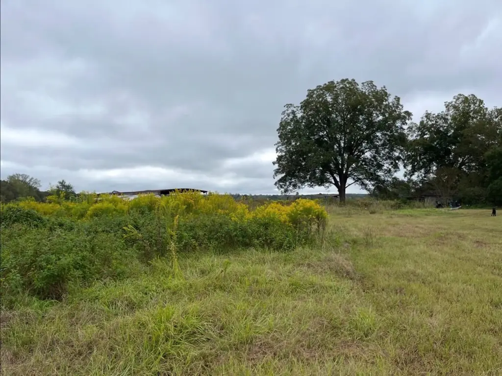 Picture 36