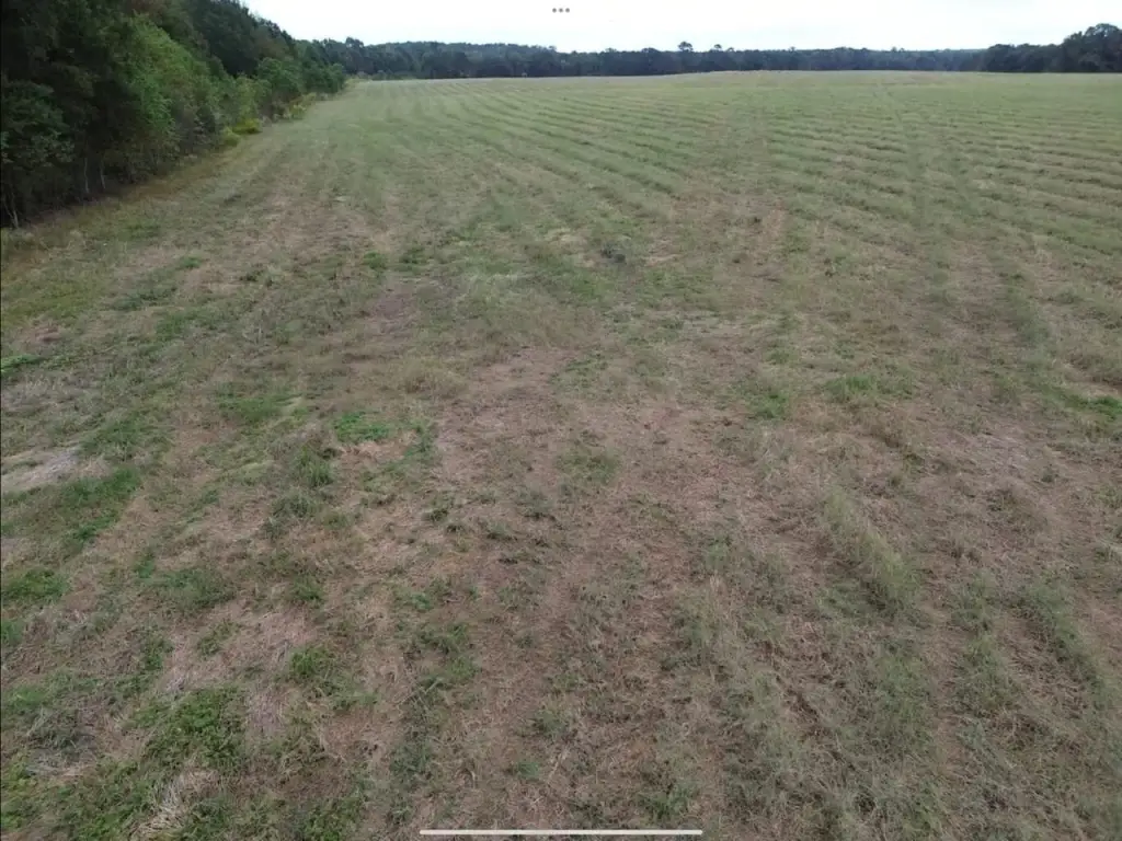 Picture 24