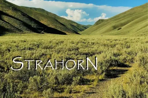 Bellevue Land Near Recreation