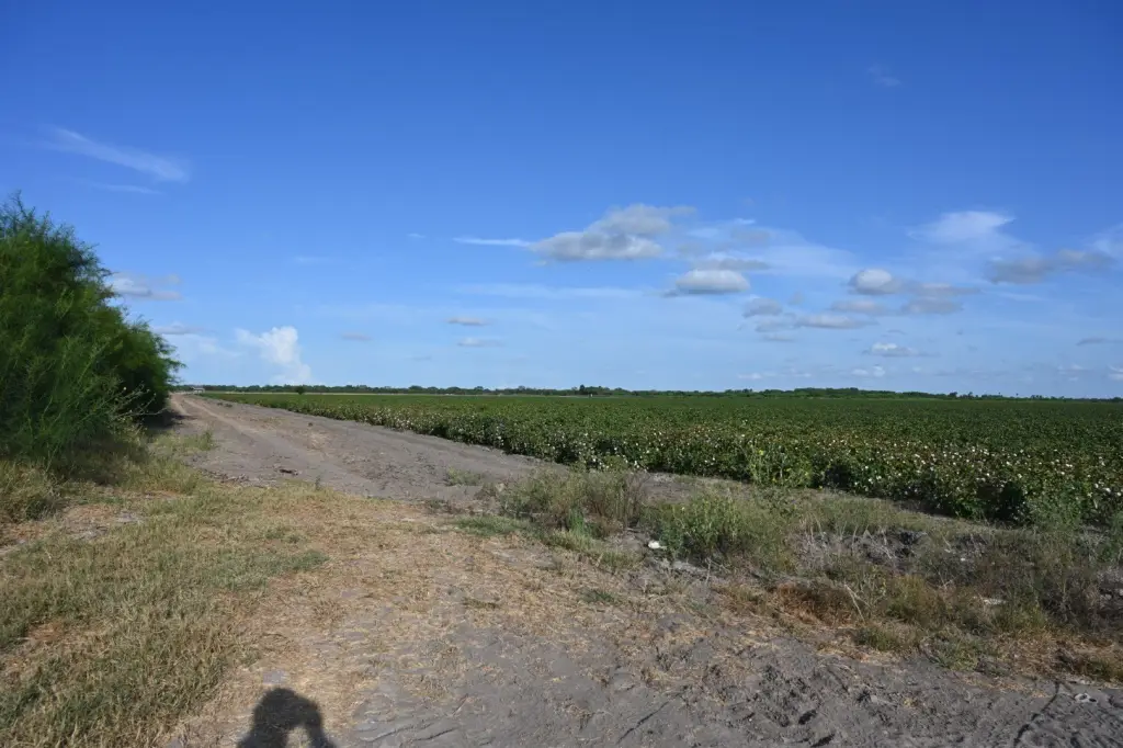 Picture 6