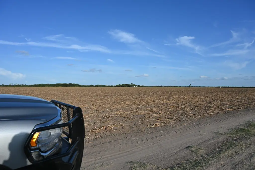 Picture 8