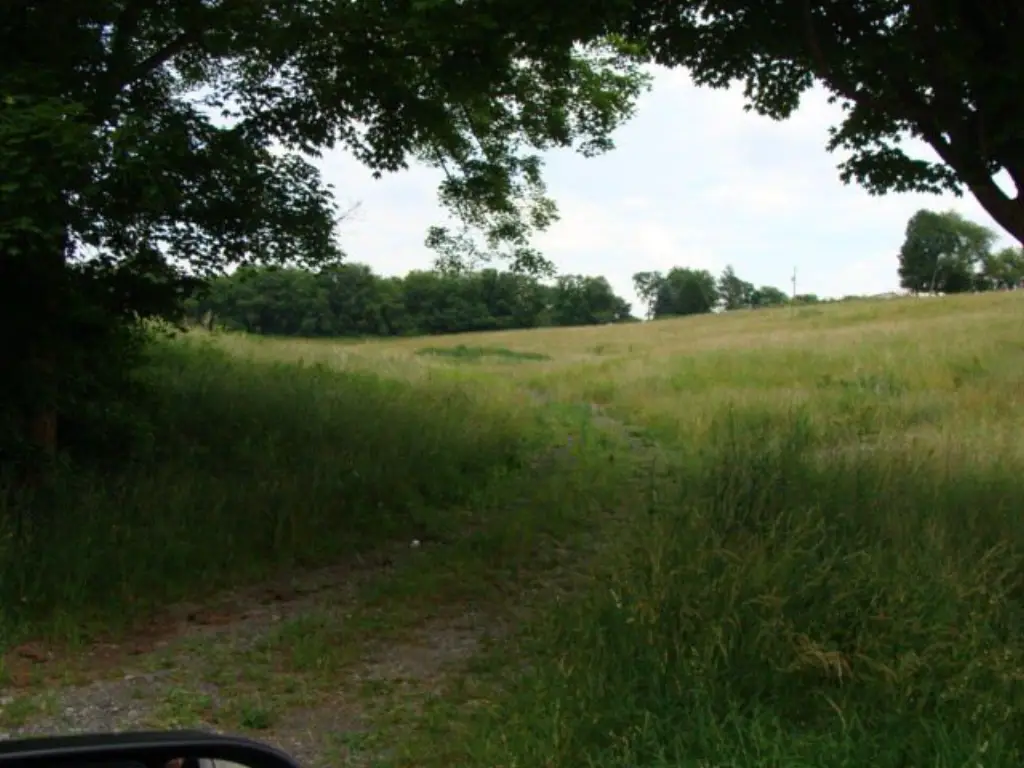 Picture 6