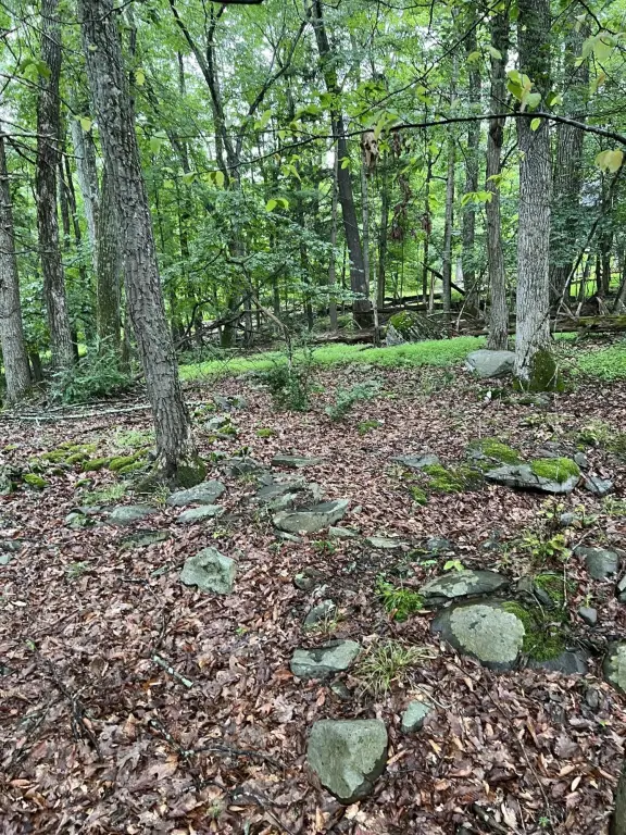 Picture 29