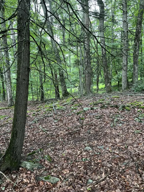 Picture 30
