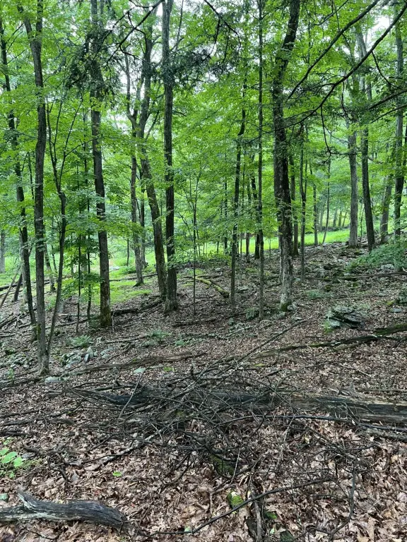 Picture 18