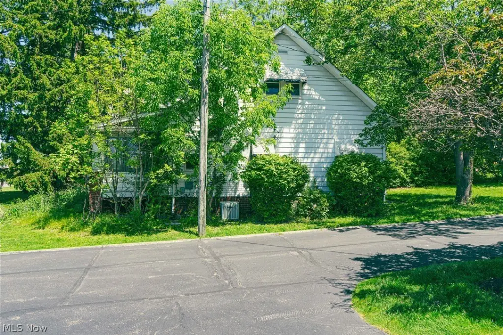Picture 3