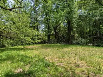 Smyrna Land Near Downtown